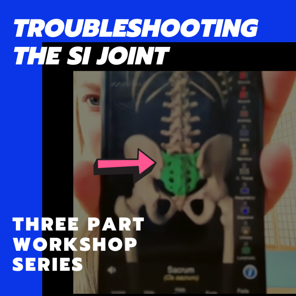 my si joint journey